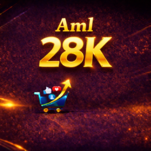 AML 28K
